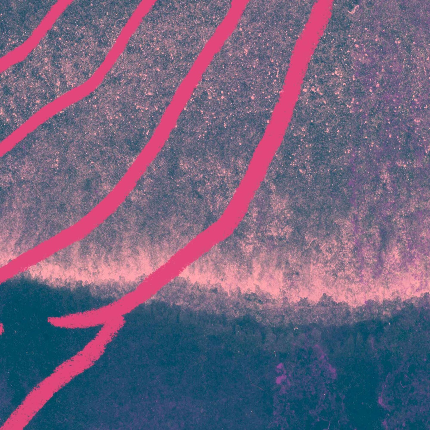 Radiance in pink #1