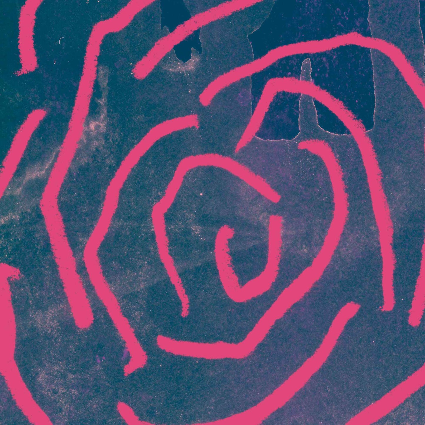 Radiance in pink #1